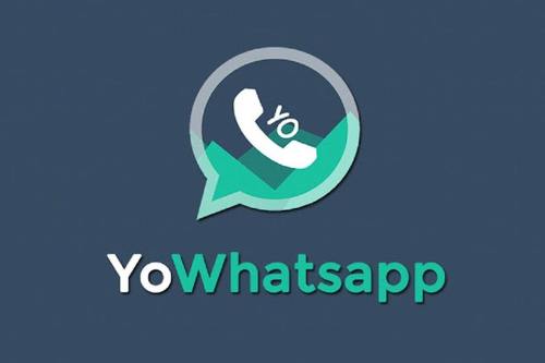 Aplikasi-YO-WhatsApp
