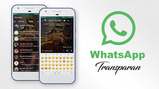 Apa itu WhatsApp Transparan