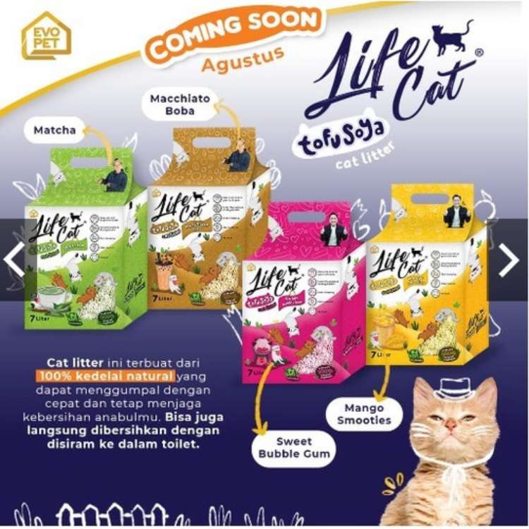 Life-Cat-Tofu-Soya